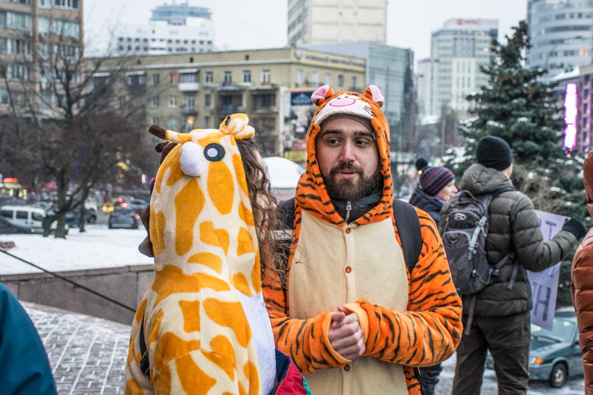 На акцию протеста поддерживали и сами дикие животные 