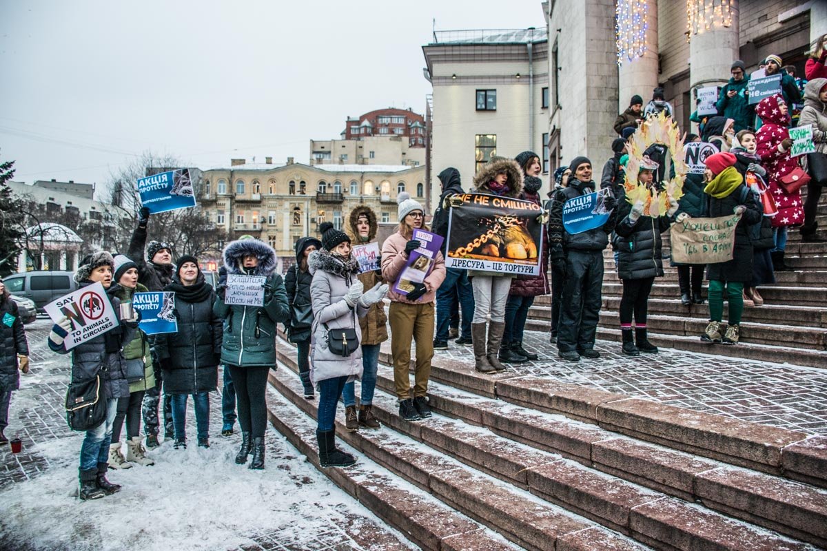 Из-за сильного холода активисты протестовали всего полтора часа 