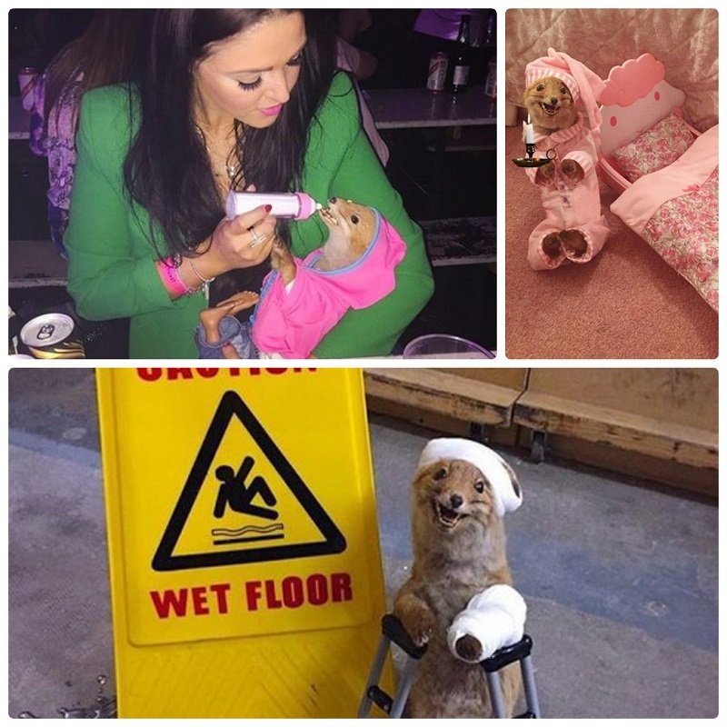 Британка усыновила чучело лиса и назвала его Младенец Иисус 