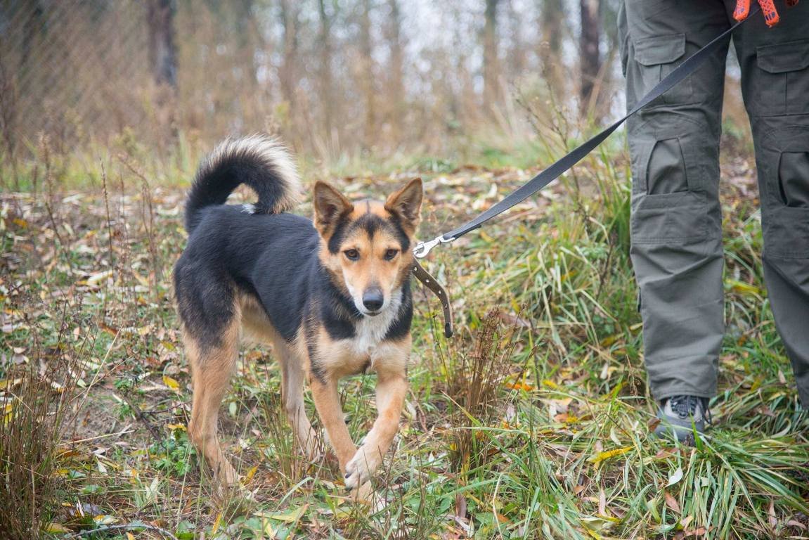 Звоните и забирайте эту преданную и ласковую малышку Звоните и забирайте эту преданную и ласковую малышку