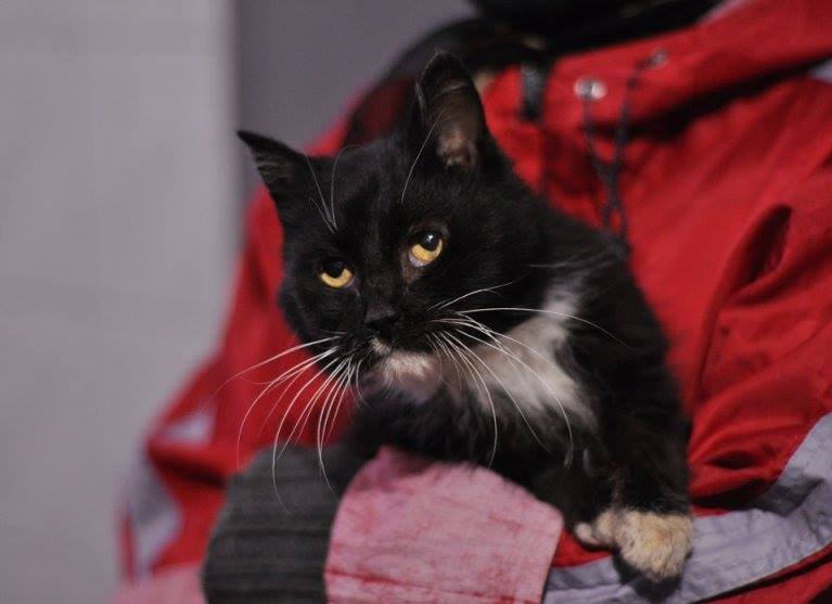 Подарите надежду Макару и поделитесь с ним своим теплом Подарите надежду Макару и поделитесь с ним своим теплом