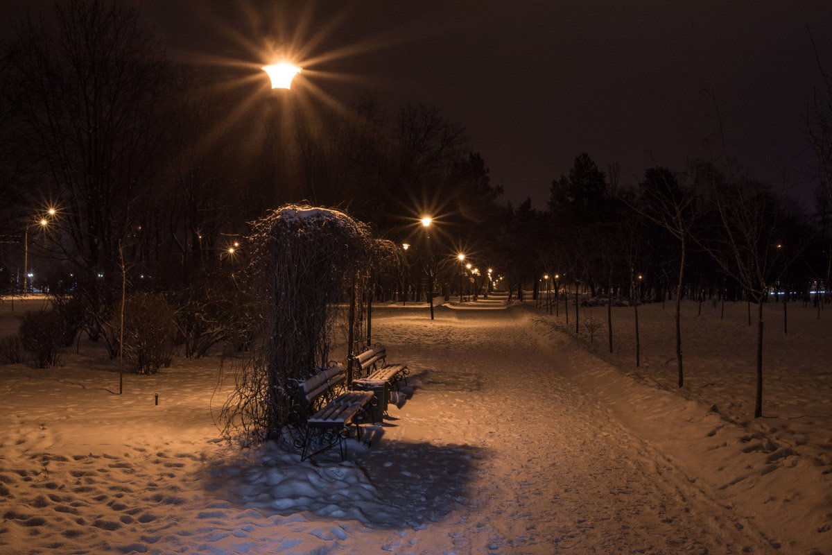 Лавочки одиноко спят в ожидании людей 