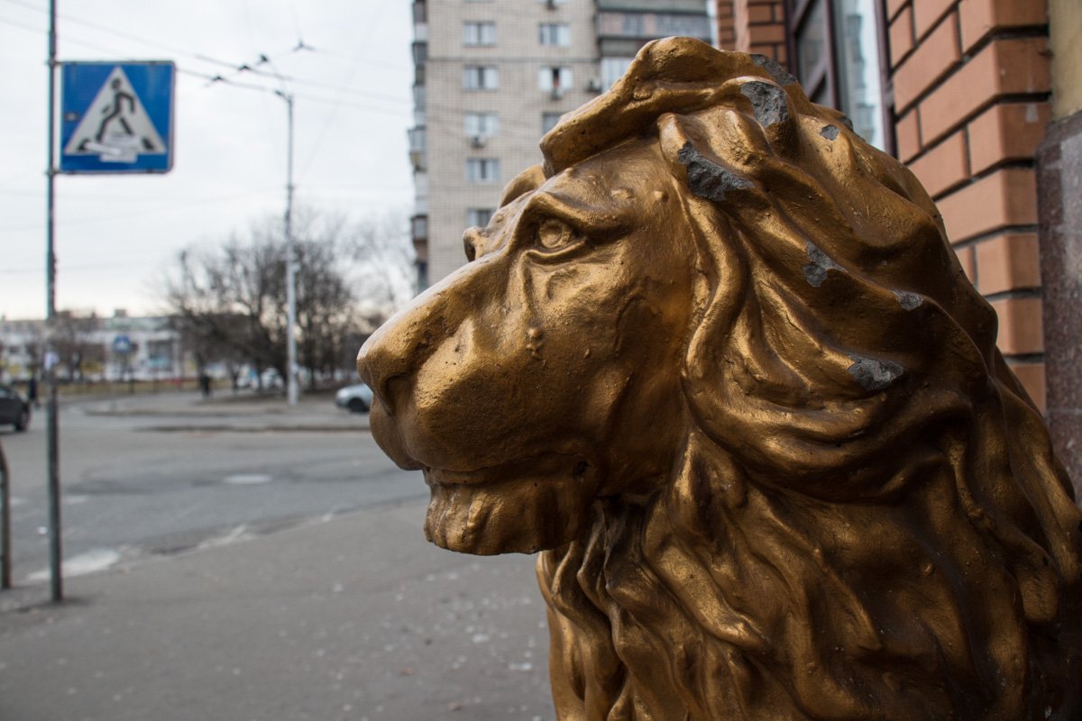 Охранник Лев на входе не смог обеспечить безопасность ночью