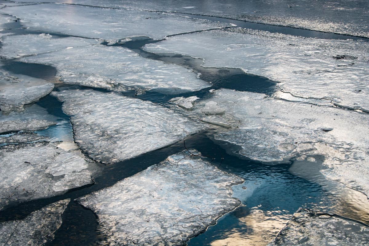 Люд тронулся уже 1 февраля