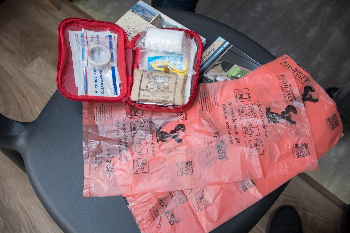 Так выглядит содержимое собачьей аптечки для путешествия 