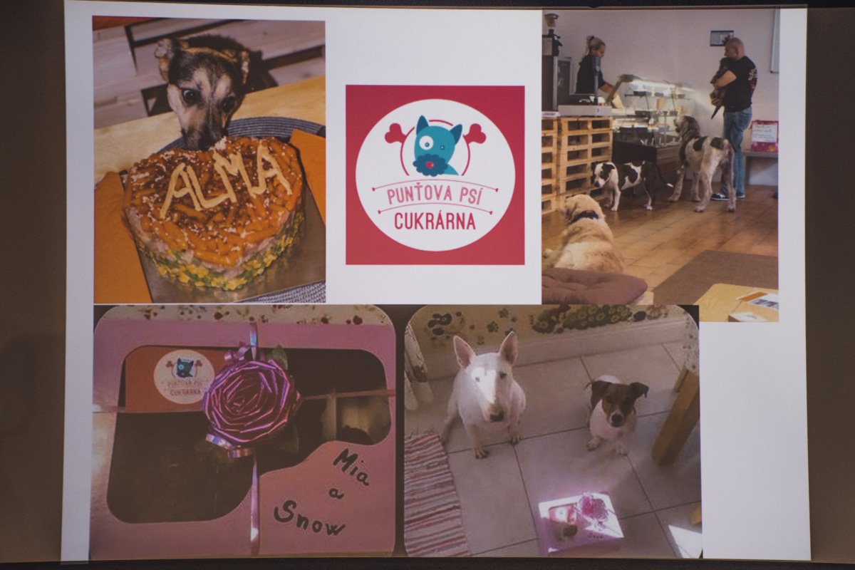 В одном из пражских кафе пекут торты и кейки для песиков