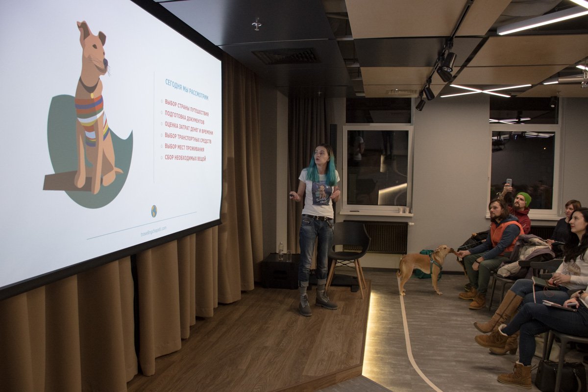 Кристина рассказала, как путешествовать по Азии с собакой