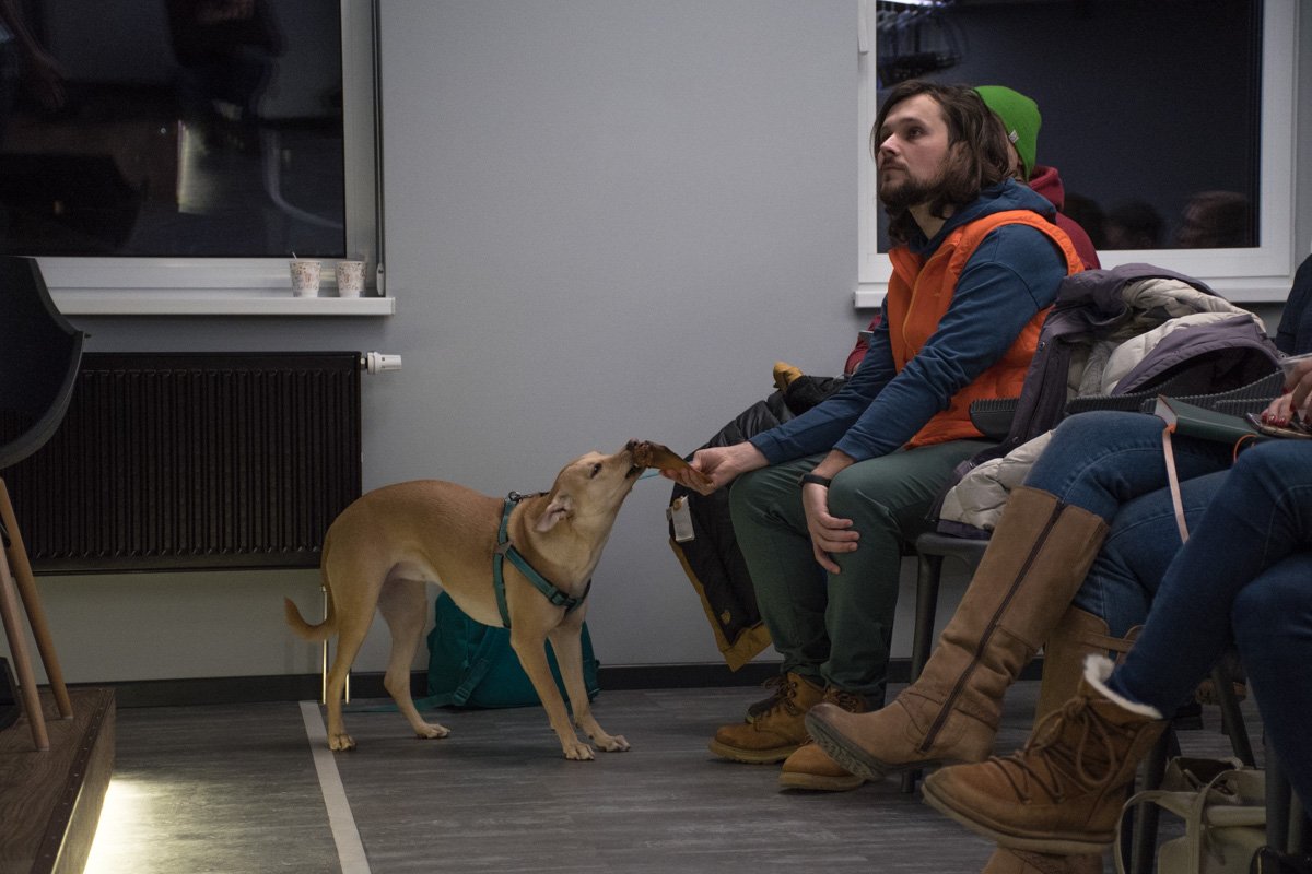 Чапати наслаждается костью во время лекции 