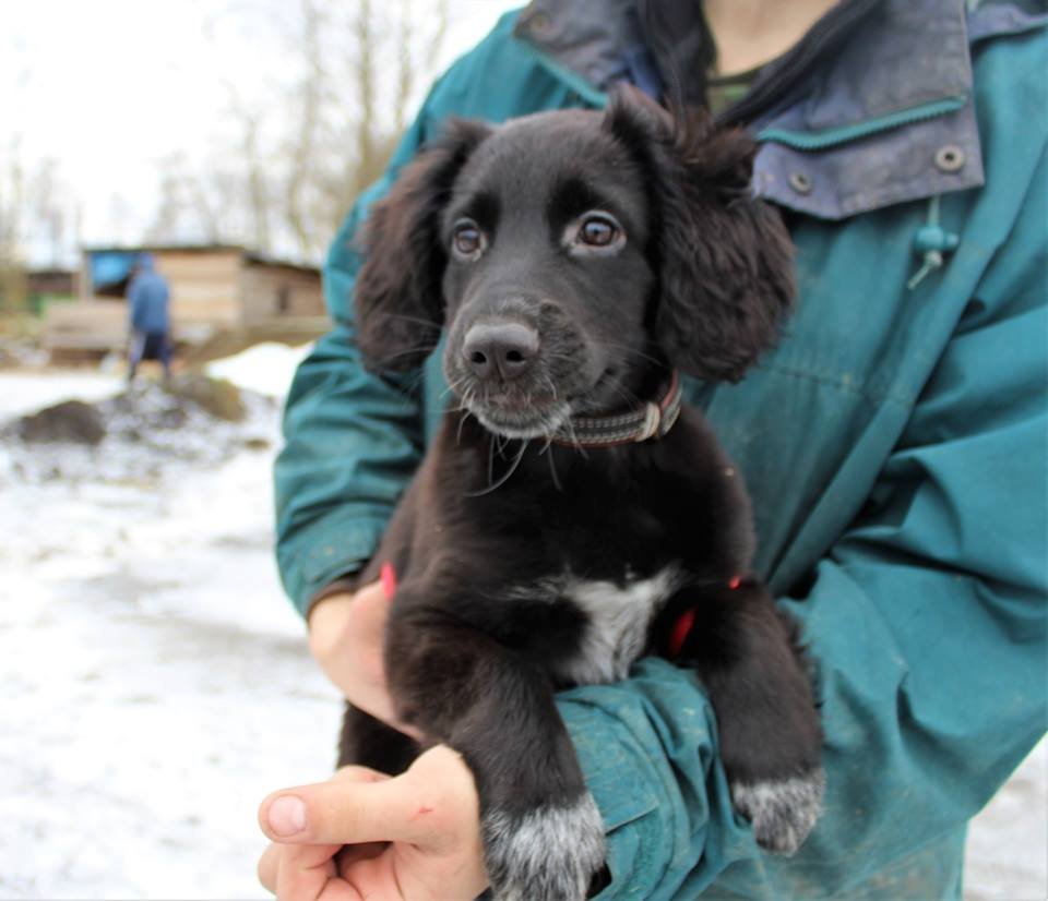 Барбара ждет именно вас! Барбара ждет именно вас!