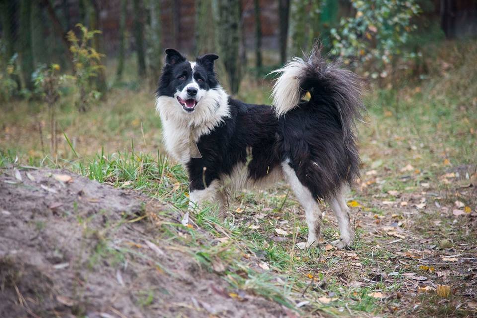 Эти добрые глазки хотят любви и ласки Эти добрые глазки хотят любви и ласки