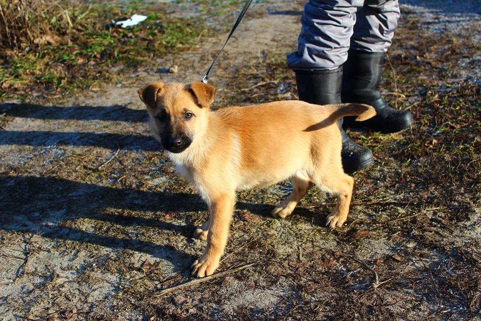 Эрика будет самой верной Эрика будет самой верной