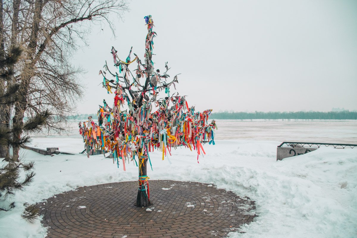 Дерево счастья в Наводницком парке Киева