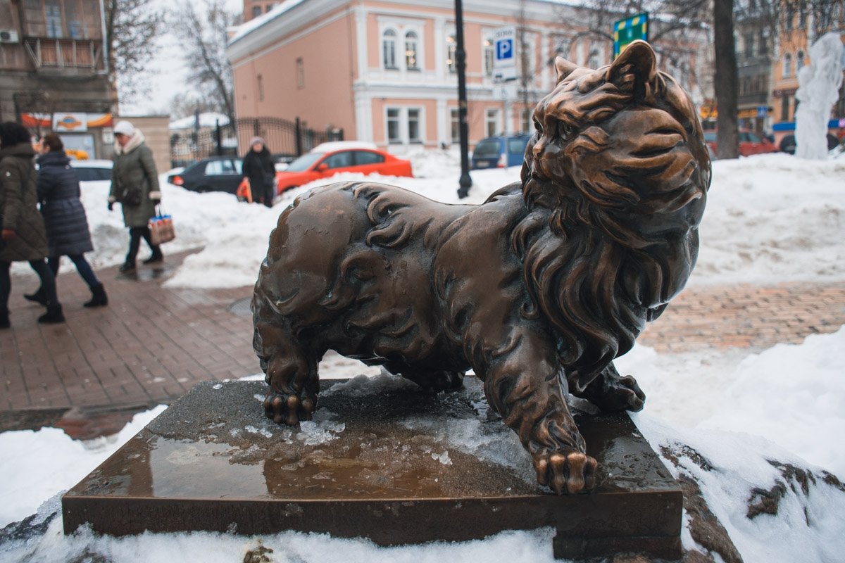 Памятник Коту Понтюше в Киеве в районе Золотых ворот
