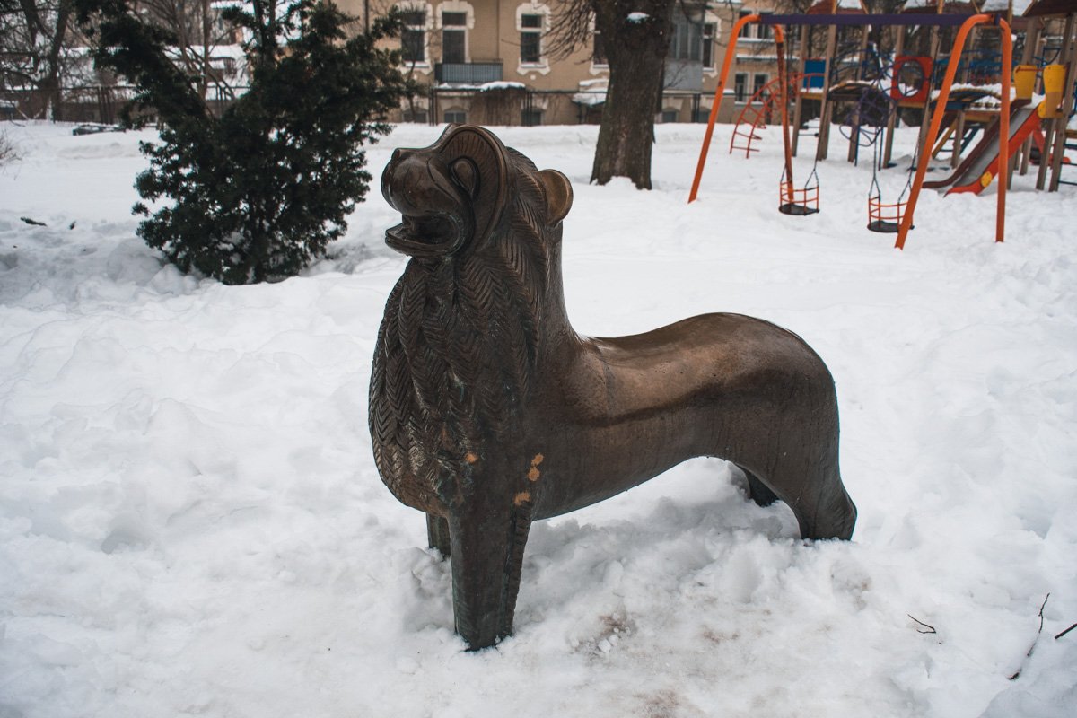 Лев-водолей в Киеве