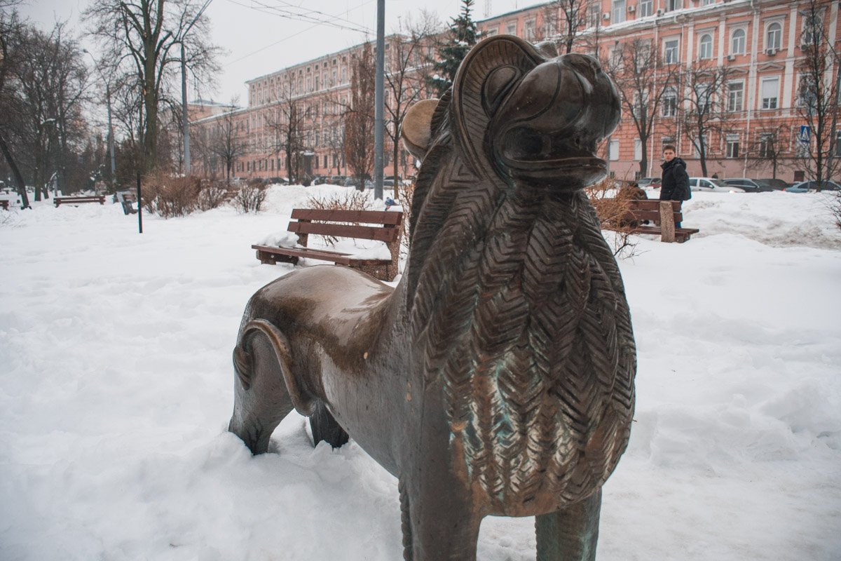 Согласно приметам, лев-водолей исполняет желание и возвращает мужскую силу