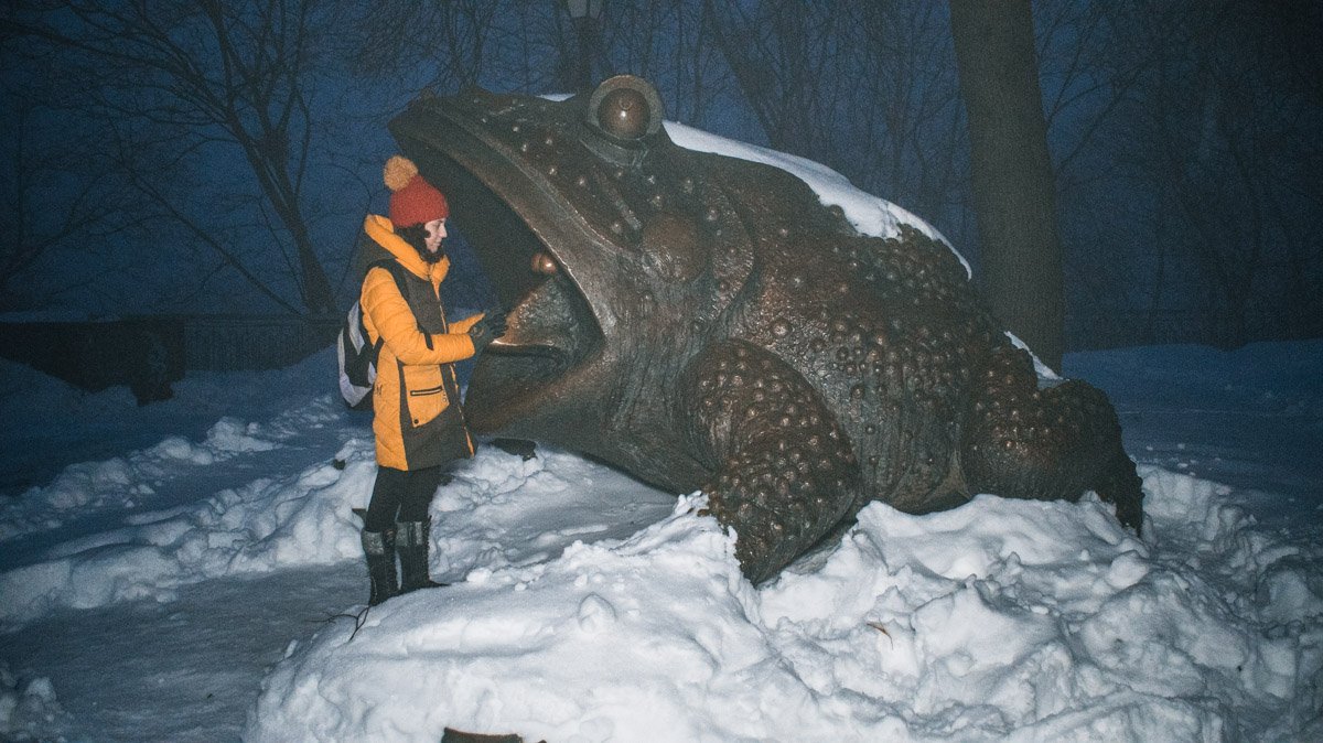 Жаба н самом деле огромная