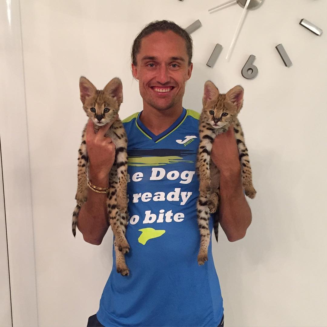 Милее Александра только его котики