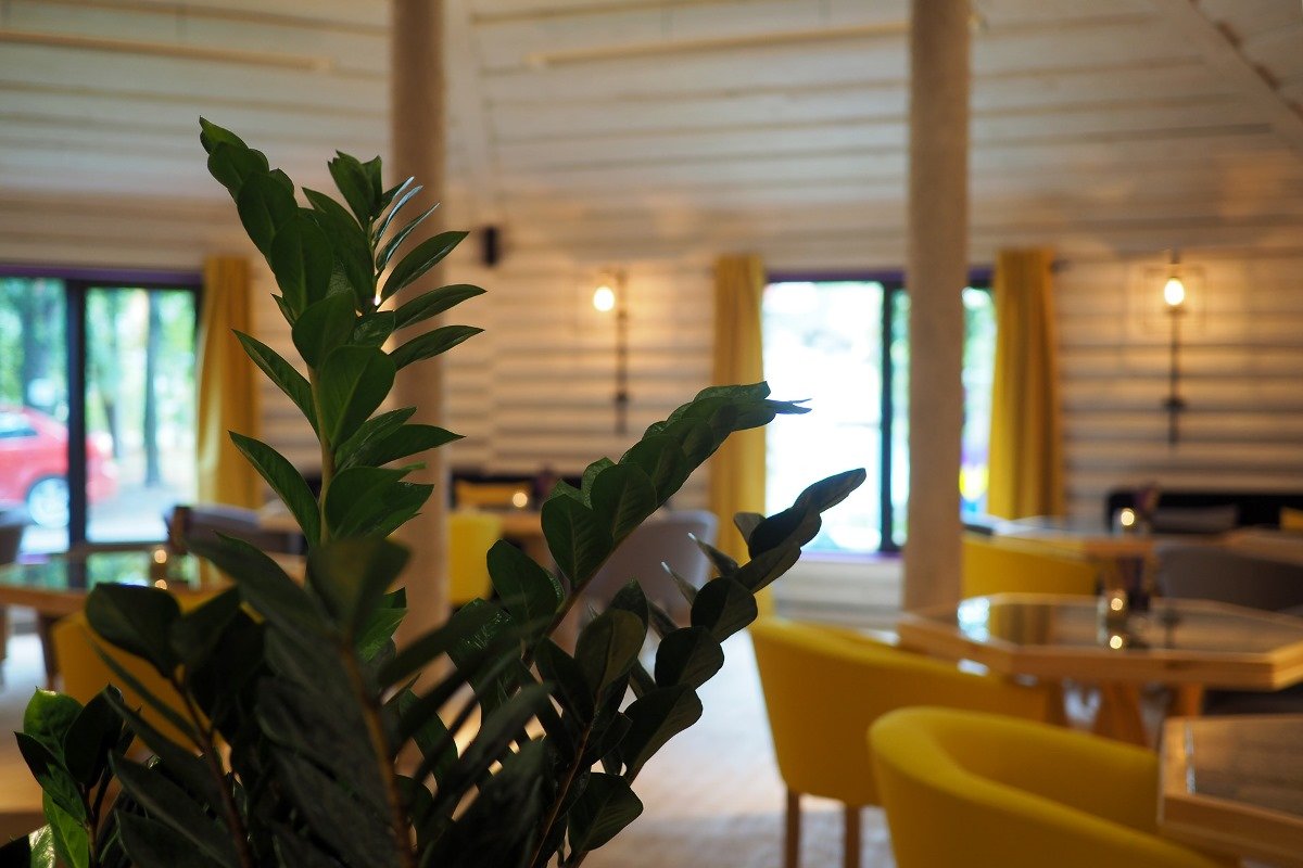 Единение с природой Единение с природой