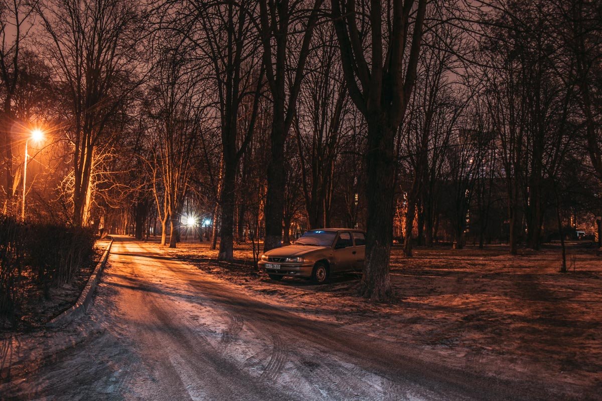 В Отрадном находится замечательный парк, который прекрасен в любое время дня и ночи В Отрадном находится замечательный парк, который прекрасен в любое время дня и ночи