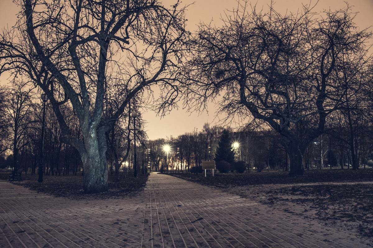 Пустынные улицы парка ночью отдыхают от людей Пустынные улицы парка ночью отдыхают от людей