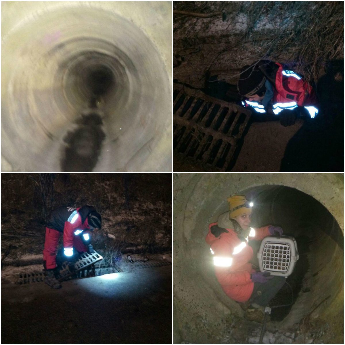 Сбитый котик спрятался в коллекторе и его доставали спасатели 