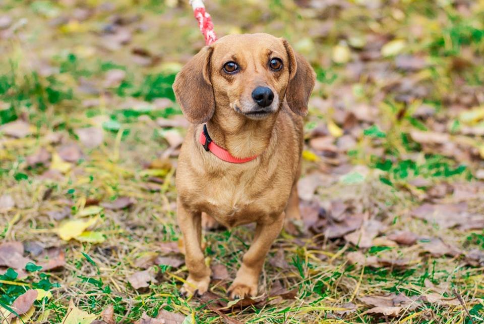 Милашка Орабель ждет именно вас! Милашка Орабель ждет именно вас!