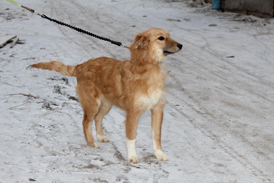 Подарите Лаймочке тепло и семью Подарите Лаймочке тепло и семью