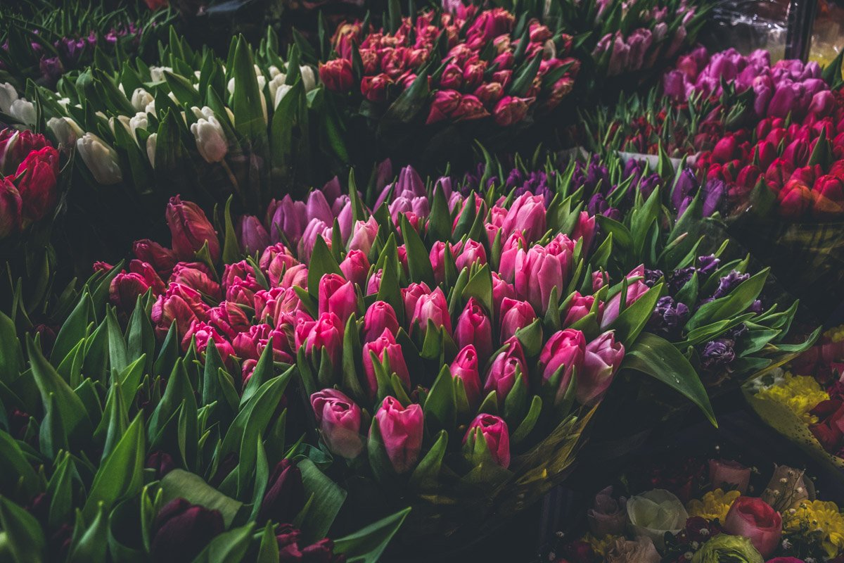 Перед покупкой цветов убедитесь, что они свежие Перед покупкой цветов убедитесь, что они свежие