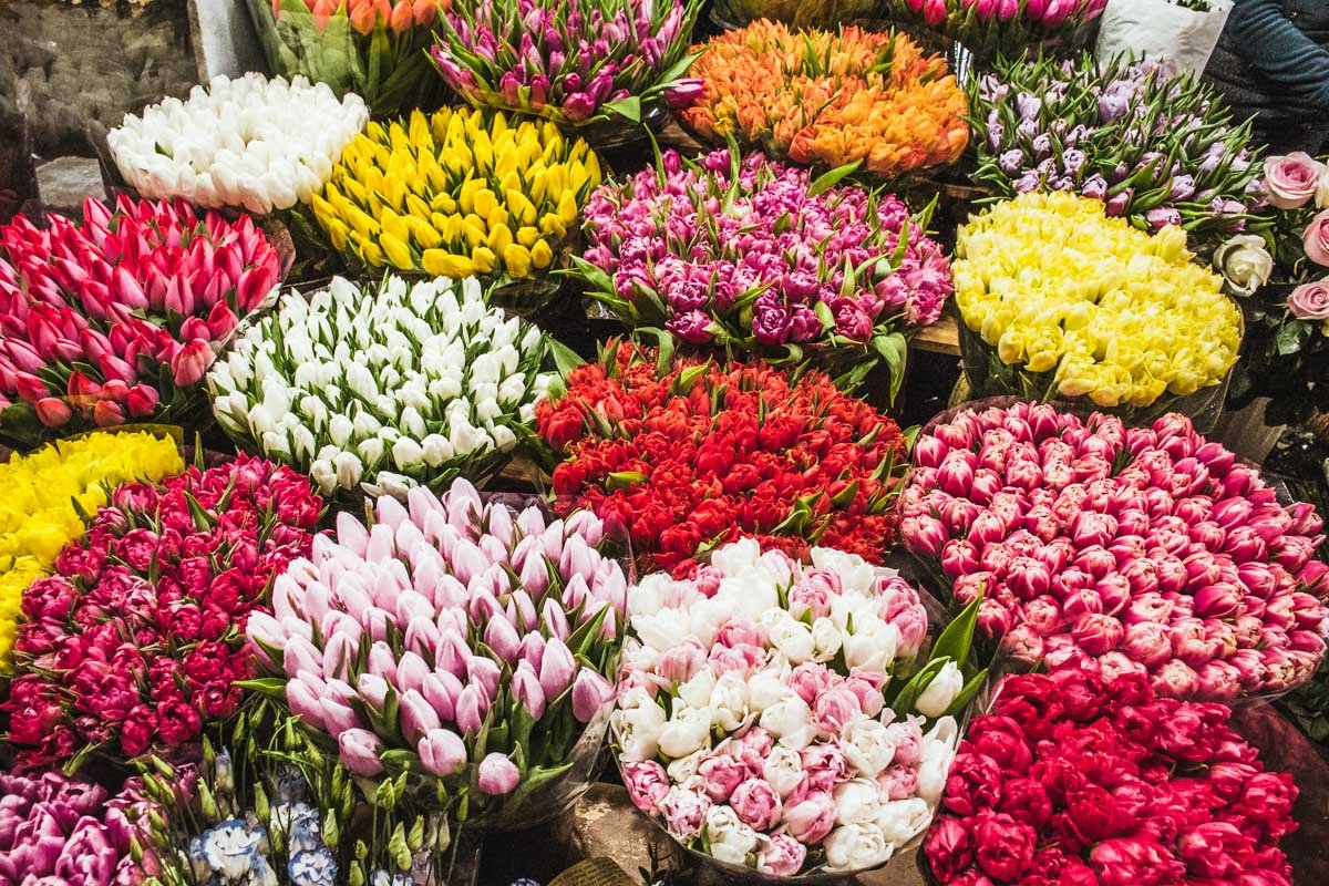 Дарите цветы любимым не только по праздникам Дарите цветы любимым не только по праздникам