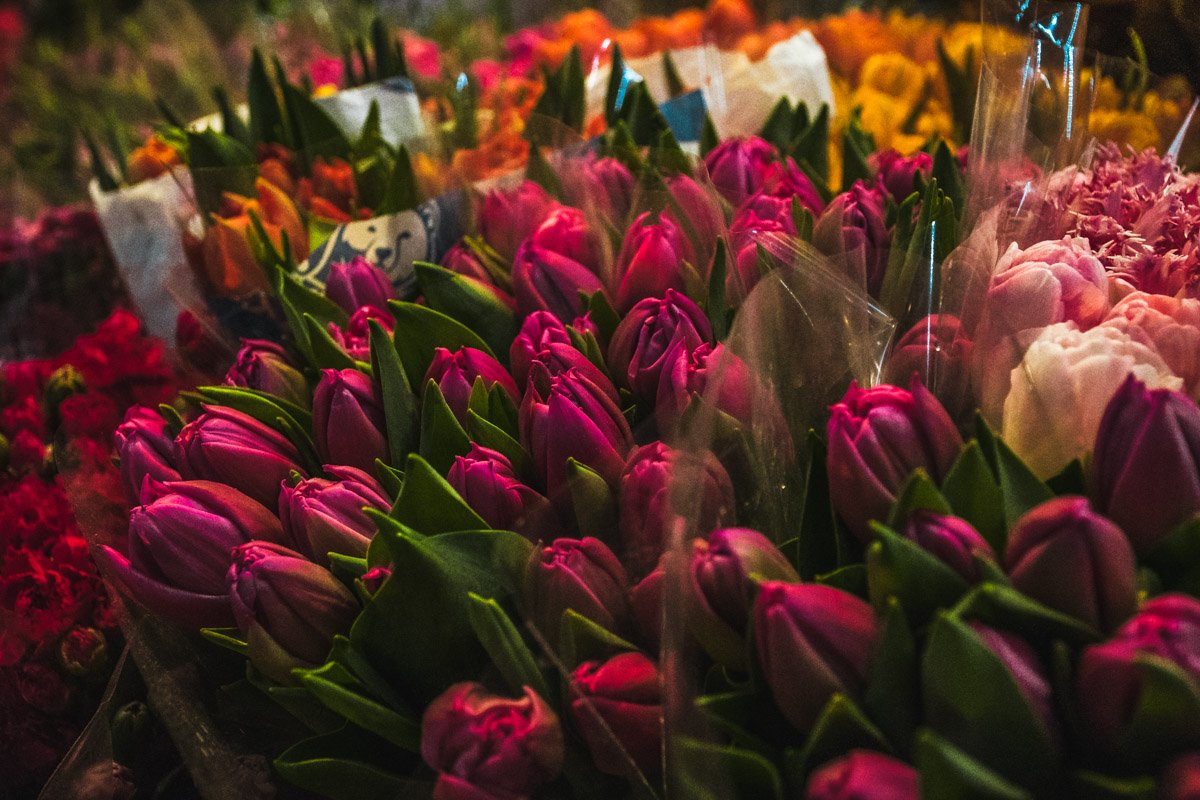 Упакуйте цветы в дополнительную бумагу, если на улице минусовая температура Упакуйте цветы в дополнительную бумагу, если на улице минусовая температура