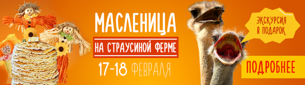 На страусиной ферме на Масленицу будет проходить бесплатная экскурсия На страусиной ферме на Масленицу будет проходить бесплатная экскурсия