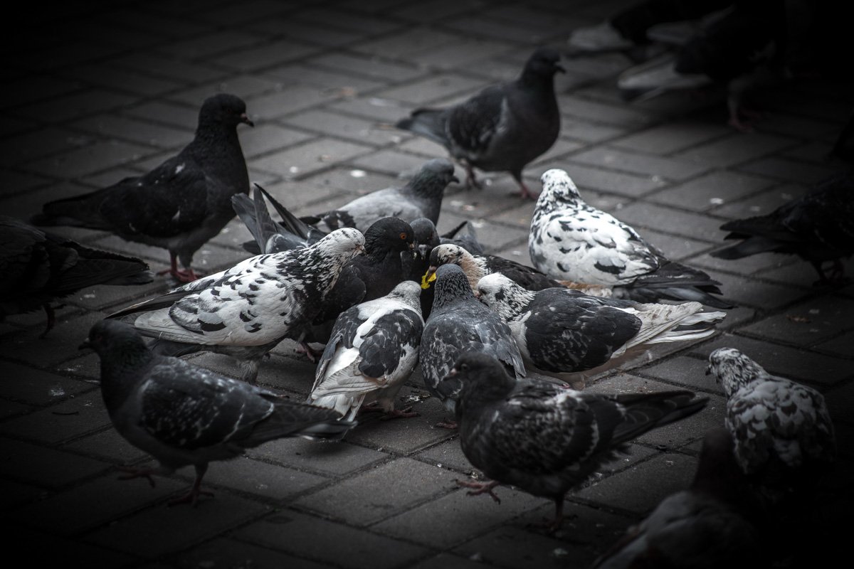 Нет времени на вашу любовь, когда решаются глобальные вопросы Нет времени на вашу любовь, когда решаются глобальные вопросы