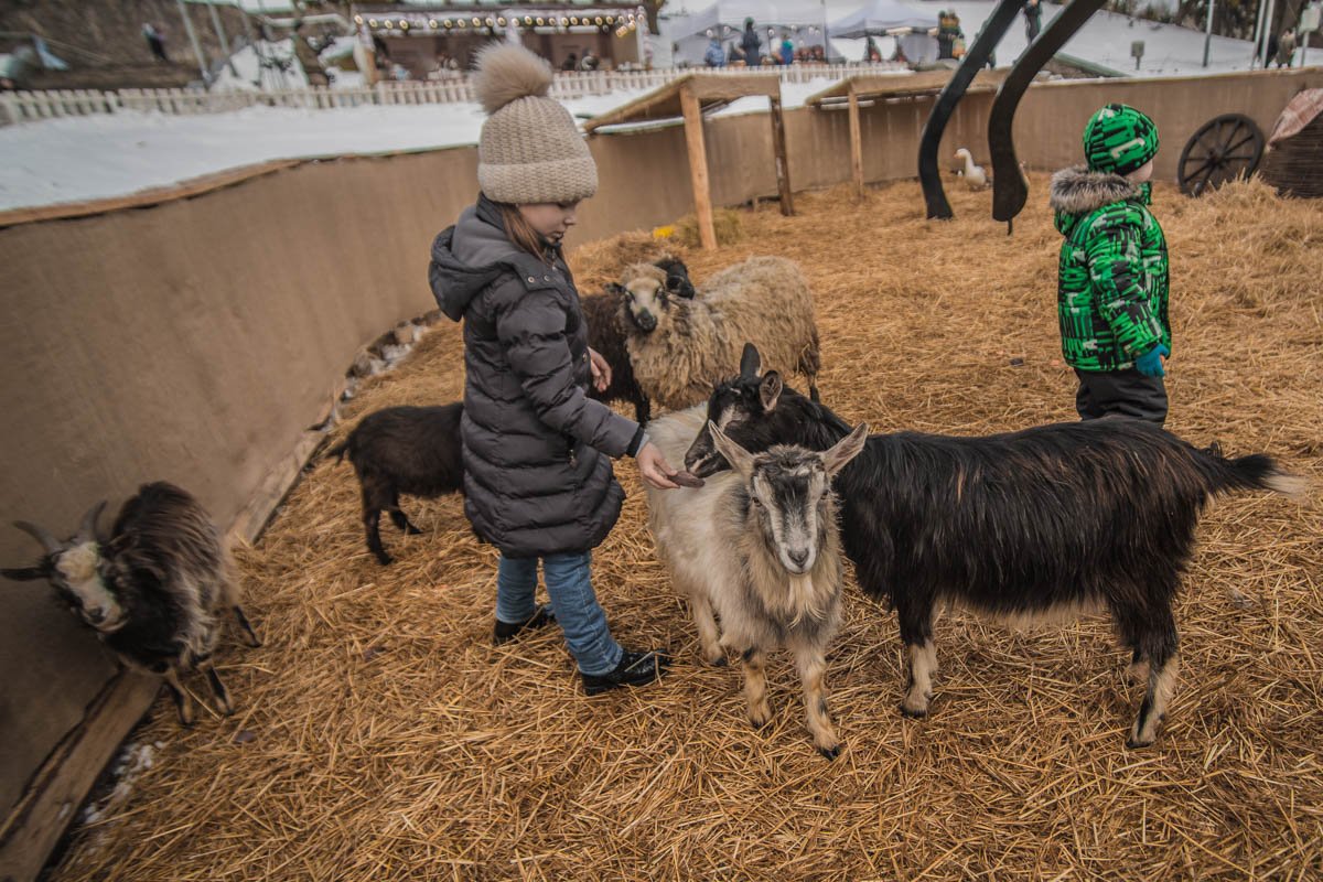 Для детей на празднике организовали живой уголок 