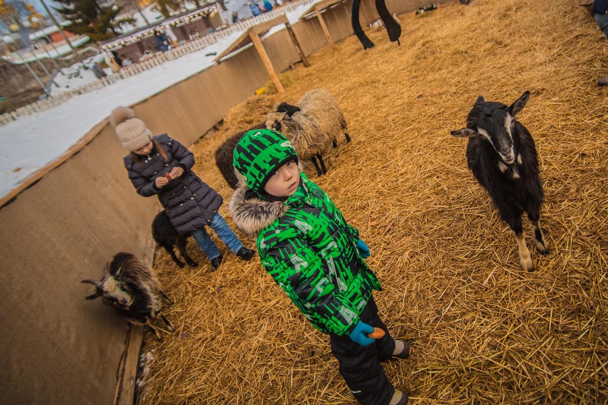 Кто-то не хочет делиться едой 