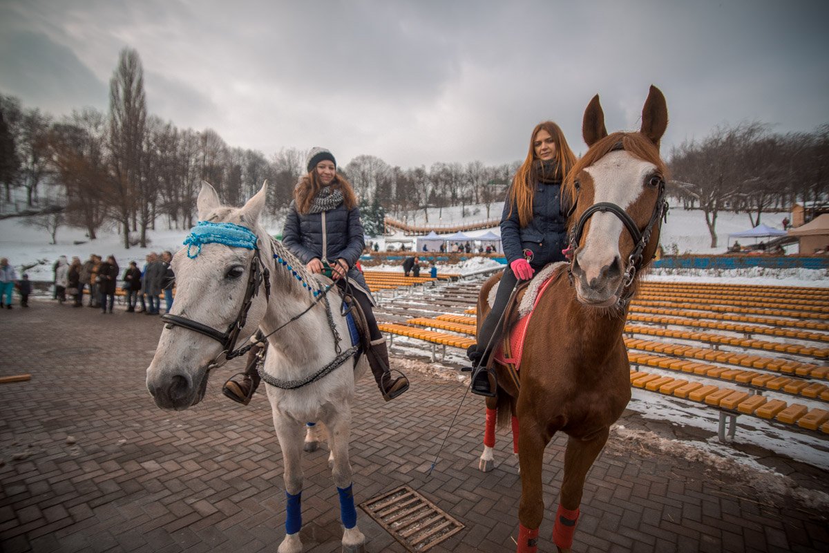 Лошади тоже любят фотографироваться 