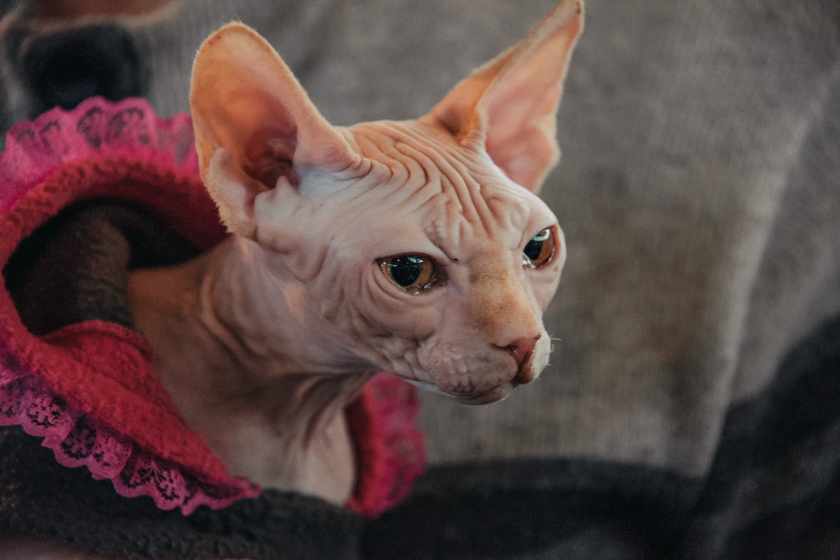 Некоторых участников переполняли эмоции