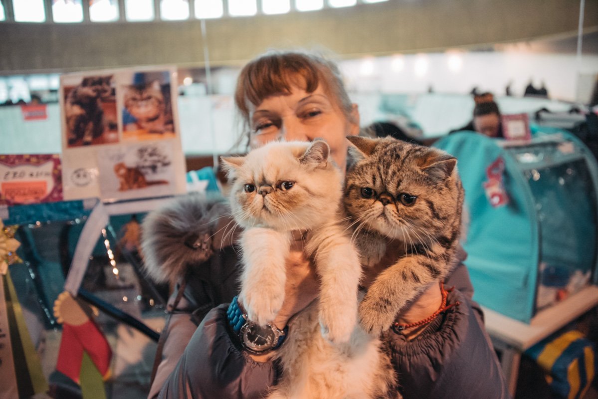 Хозяева влюблены в своих питомцев