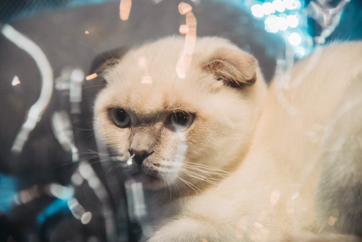 В голубых глазах отражалась грусть