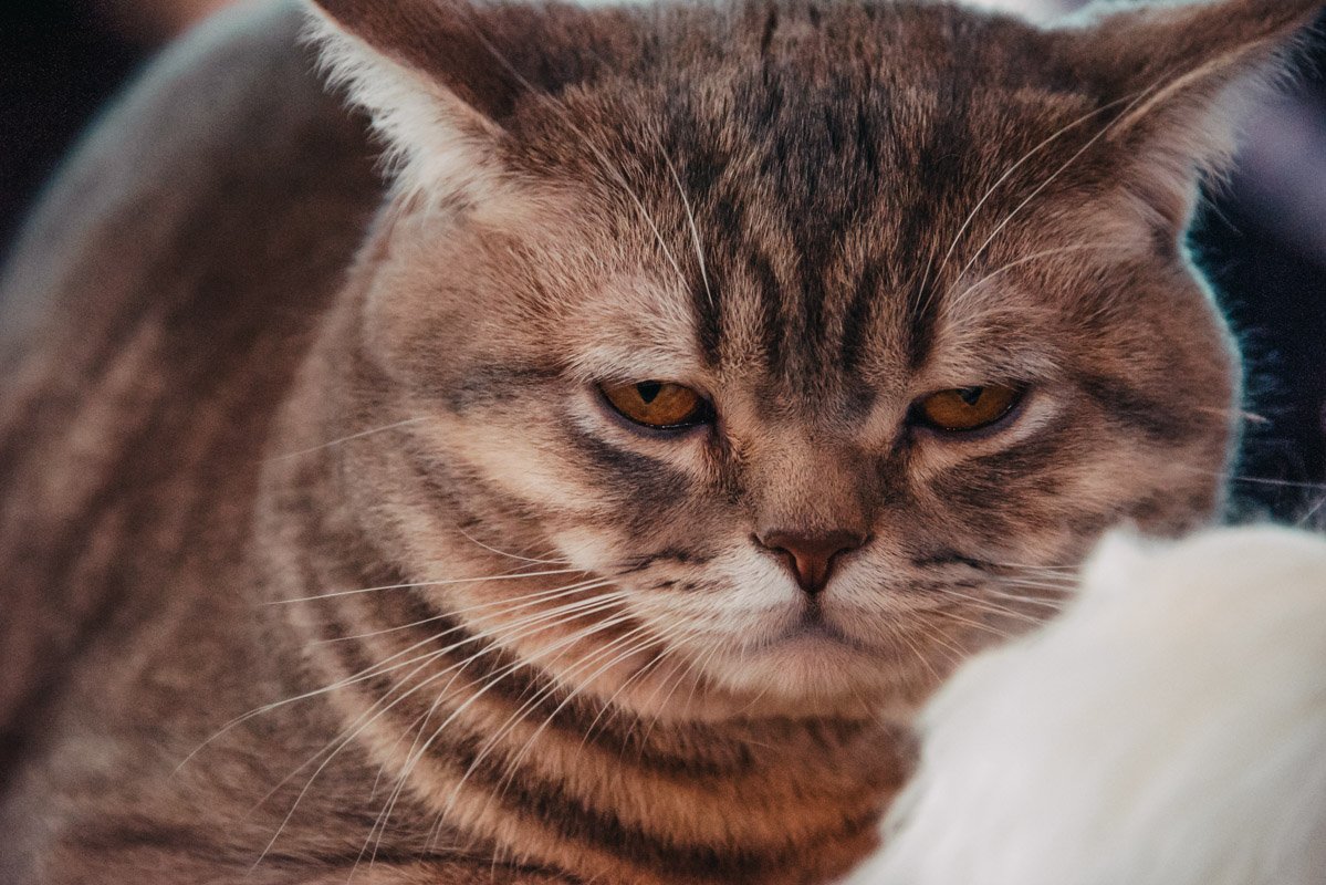 Съемки утомили некоторых участников