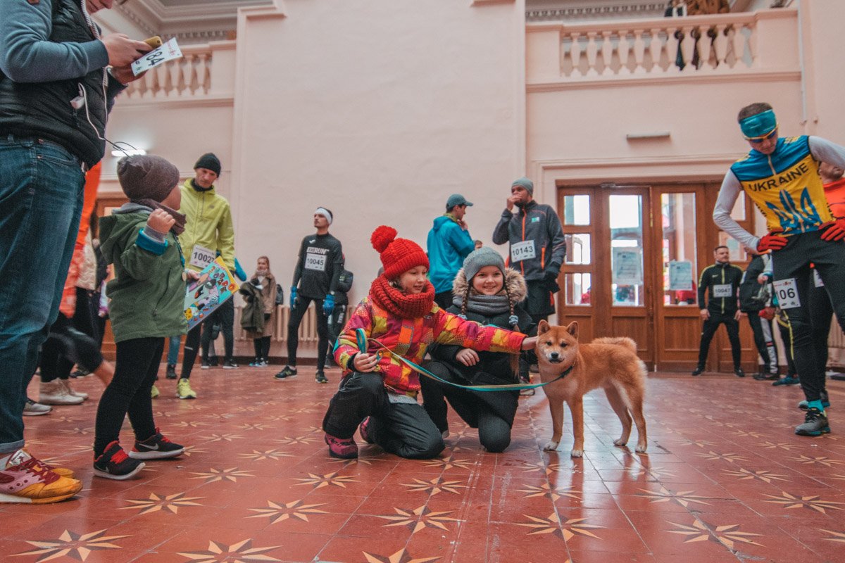 Акита Халк готовится к забегу