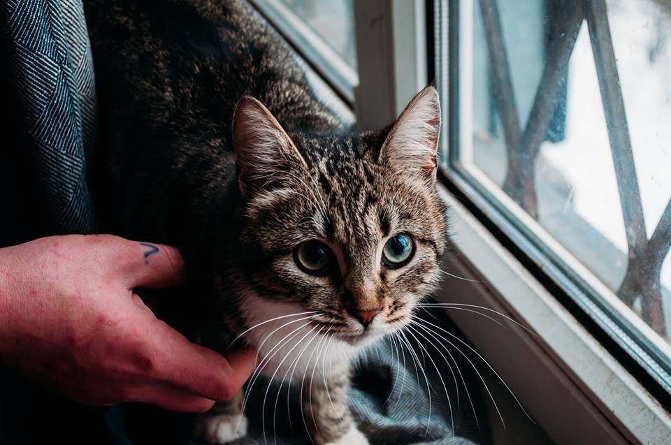 Маня очень любит внимание и хочет найти друга Маня очень любит внимание и хочет найти друга