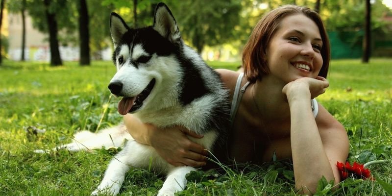 Лекция о том, как наладить отношения с собакой 