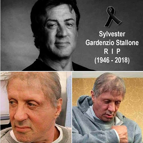 Информация о смерти Сильвестра Сталлоне от рака не подтвердилась