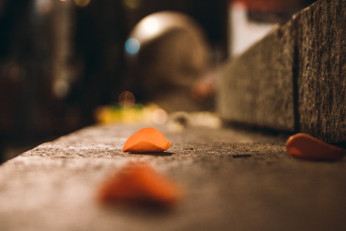 Сегодня центр Киева усеян лепестками Сегодня центр Киева усеян лепестками