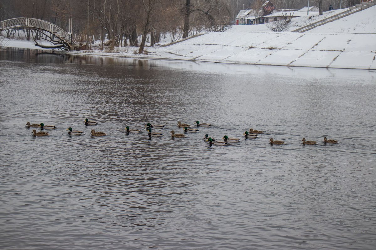 Чудный морозный день Чудный морозный день