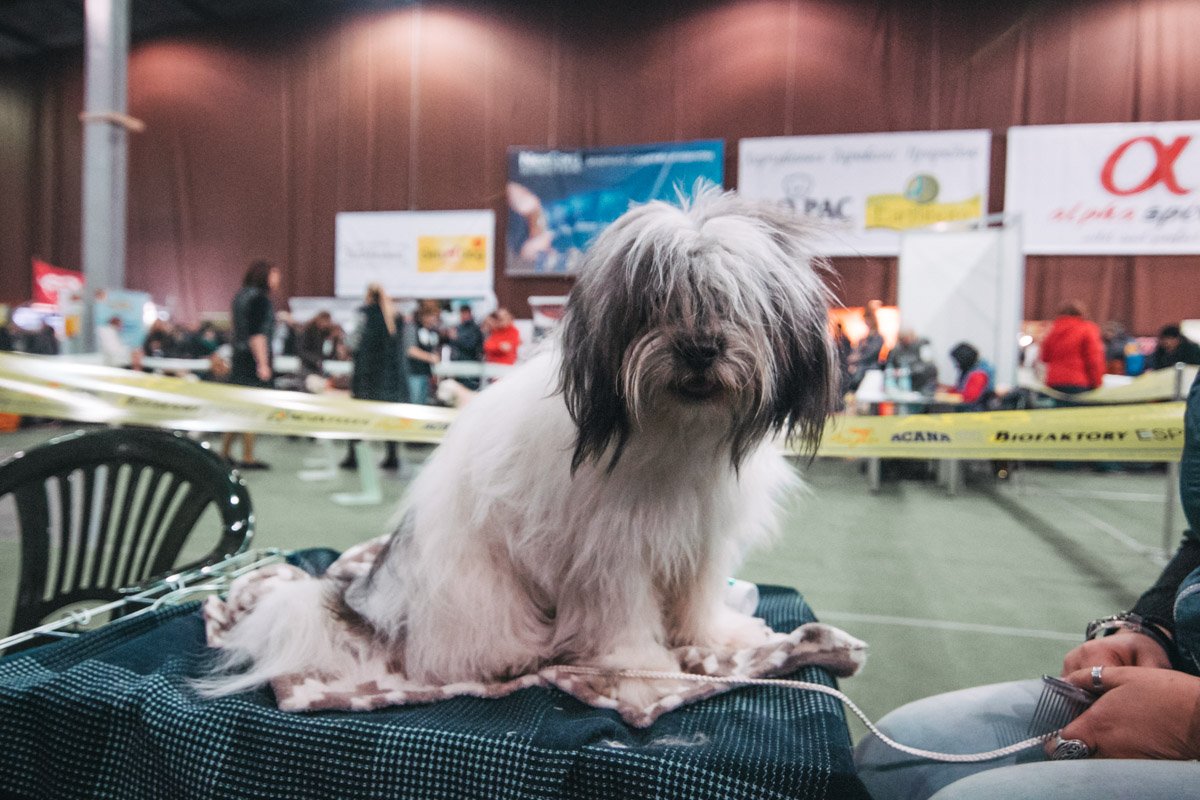 Не все успели сделать модную стрижку