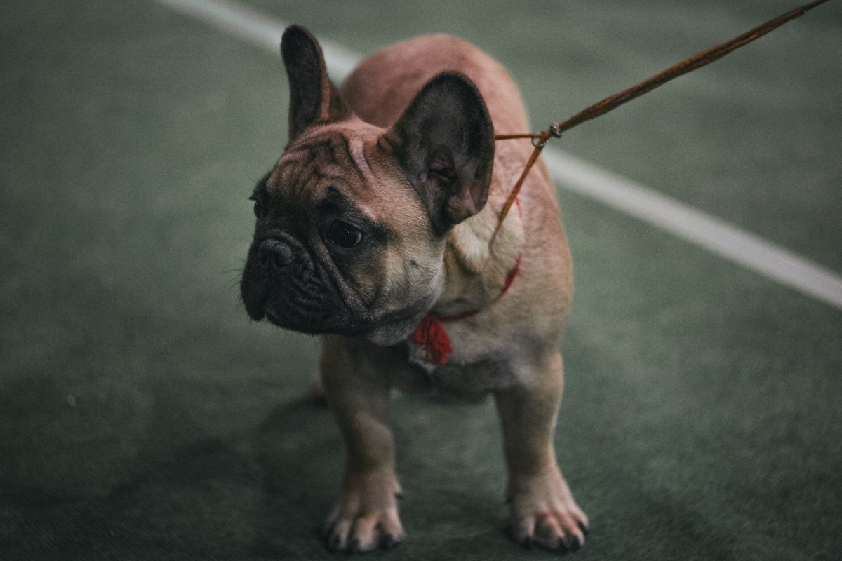 ... Есть, что пожевать?