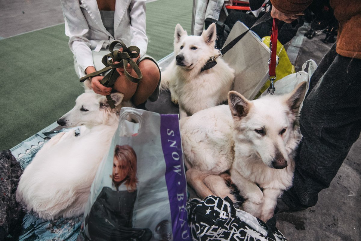 С братиками веселее