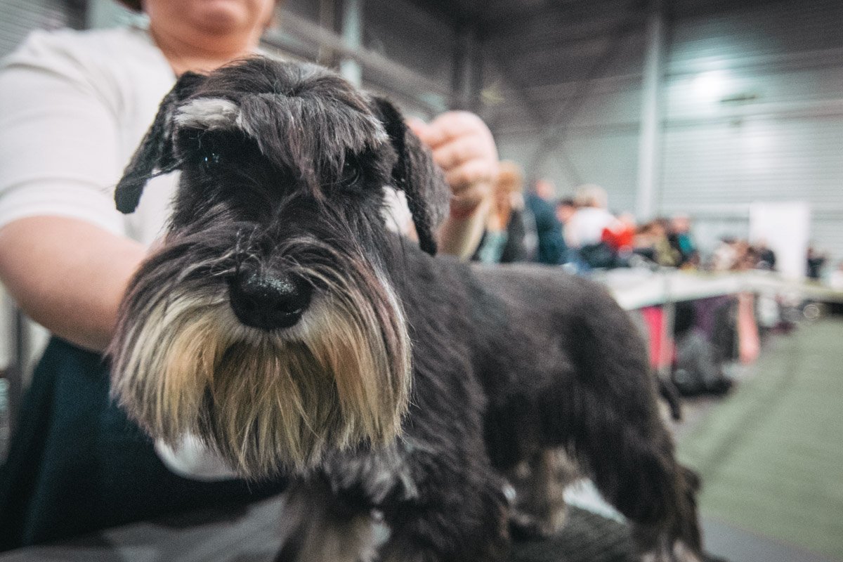 Ну разве я не красавчик?