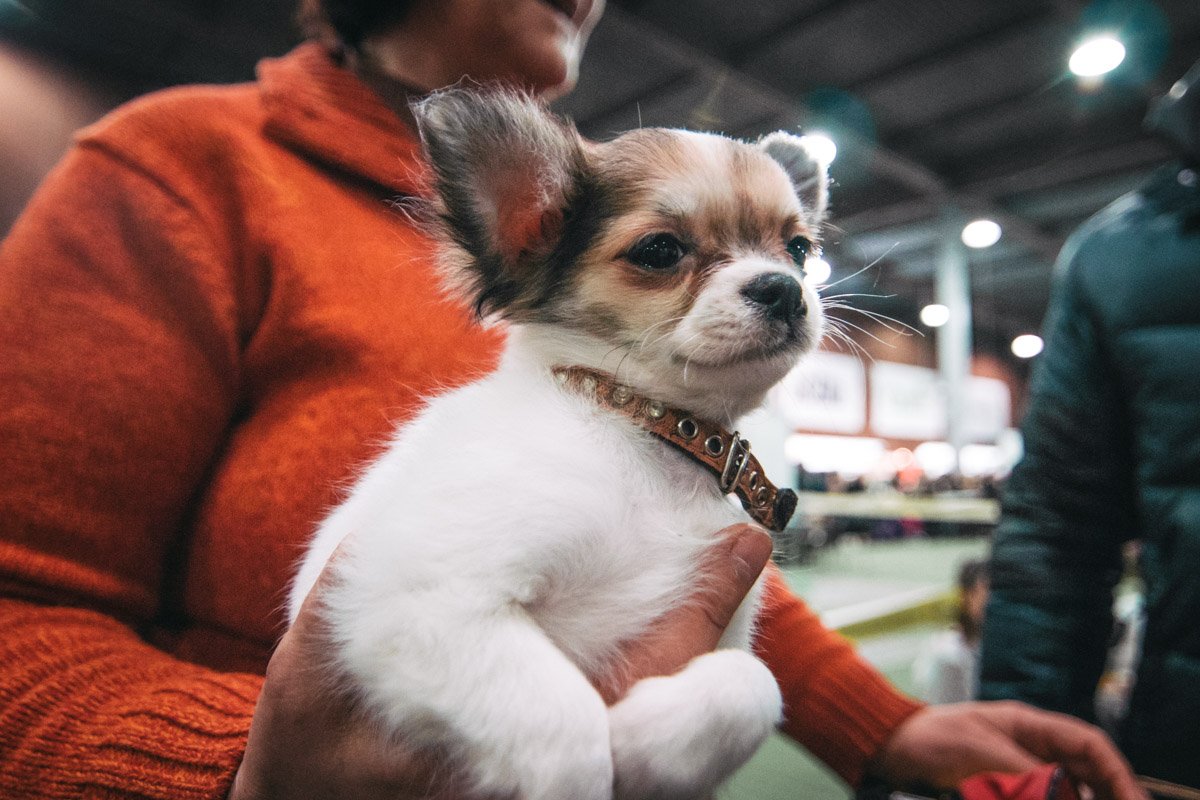 Фото: Витольд Явдощук